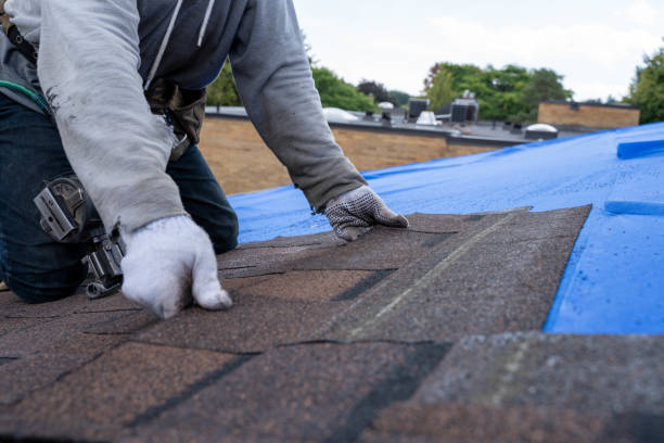 Best Metal Roofing Contractor  in Bolindale, OH