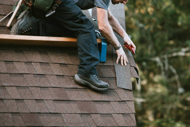 Best Roof Gutter Cleaning  in Bolindale, OH