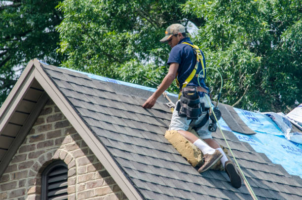 Roof Gutter Cleaning in Bolindale, OH
